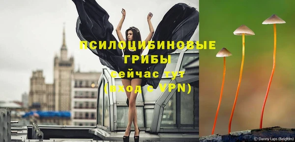 индика Лагань