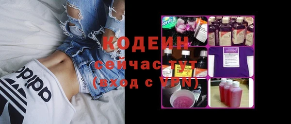 индика Лагань