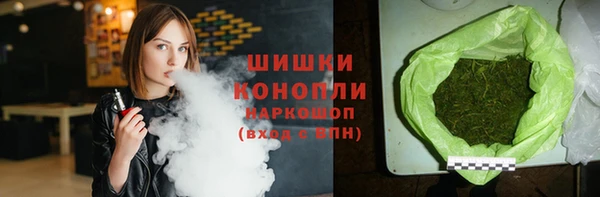 индика Лагань