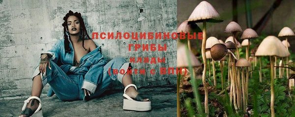 MDMA Premium VHQ Ладушкин