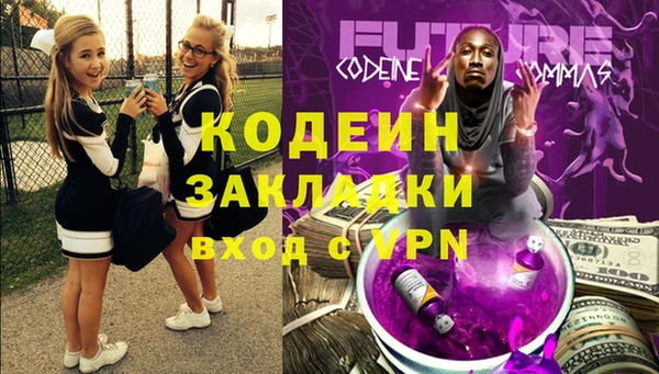 индика Лагань