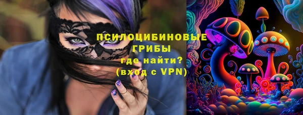 spice Лабытнанги