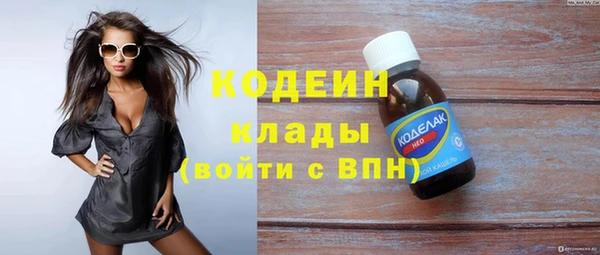 индика Лагань
