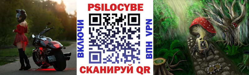 Галлюциногенные грибы мухоморы  Купить  Богородицк 