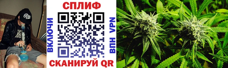 Купить где  Богородицк  Канабис ГИДРОПОН 